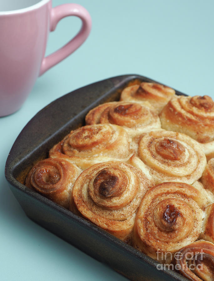 Tasty Cinnamon Pastry Photograph By Andreas Berheide Fine Art America