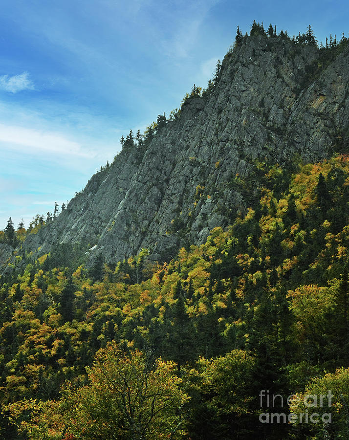 Fall Foliage Photograph By Jonathan Lingel Fine Art America