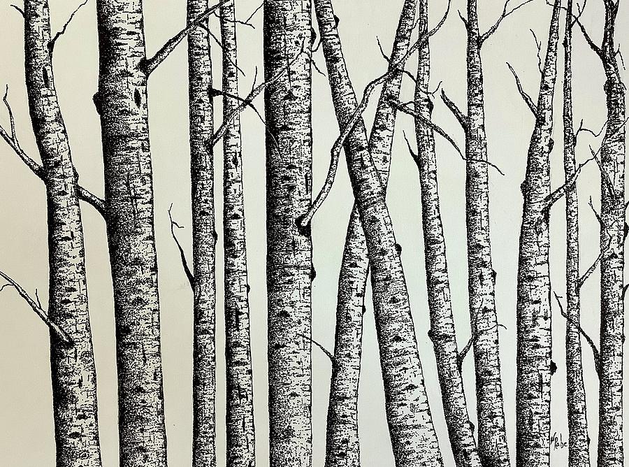 Birch Trees Drawing By Nancy Rabe Fine Art America