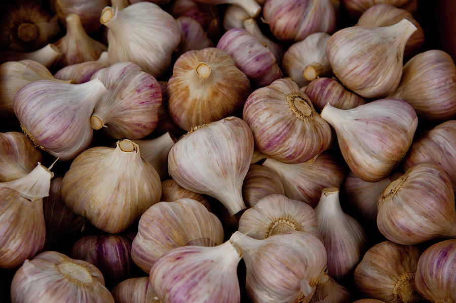 Garlic Photograph By Patrick Bourke Fine Art America