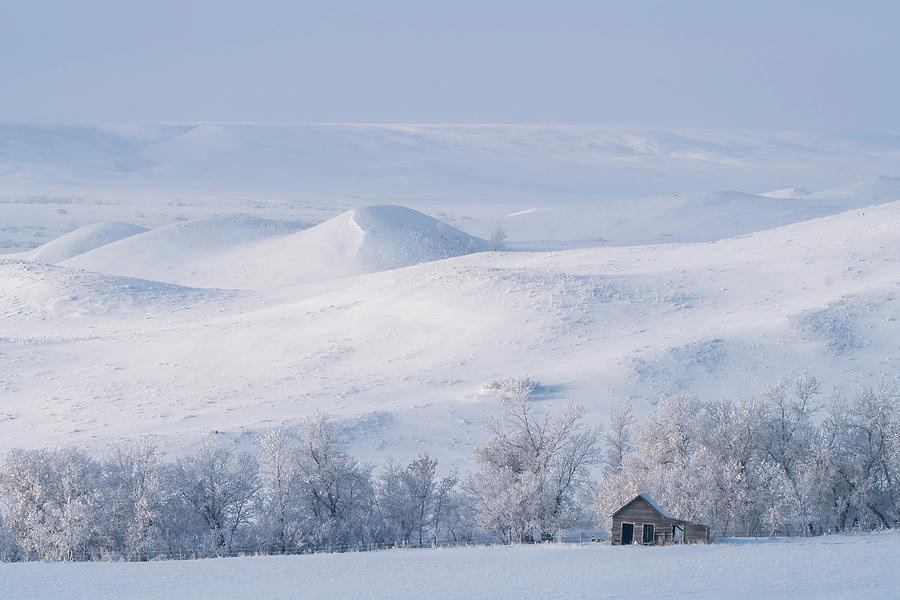 Prairie Winter Scenes Photograph By Mark Duffy Fine Art America