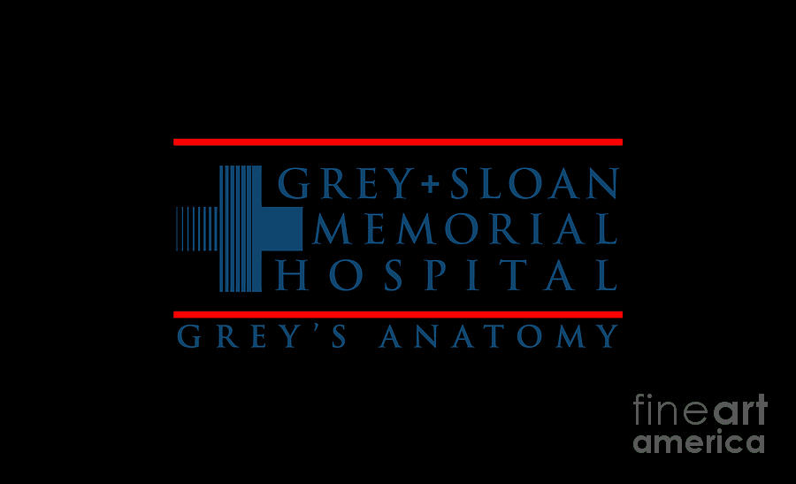 Grey Sloan Memorial Hospital Digital Art By Aziza Diana Fine Art America