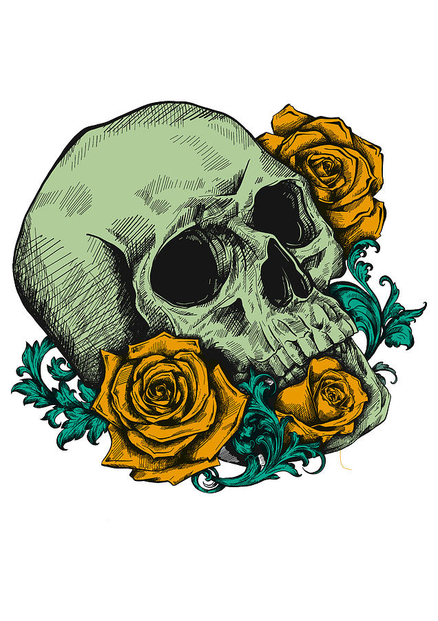 A Human Skull With Roses On White Background Digital Art By Dean Zangirolami Fine Art America