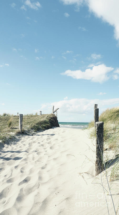 Pathway To The Beach Photograph By Andreas Berheide Fine Art America