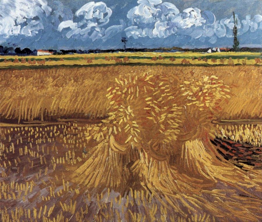 Wheat Field Painting By Vincent Van Gogh Fine Art America