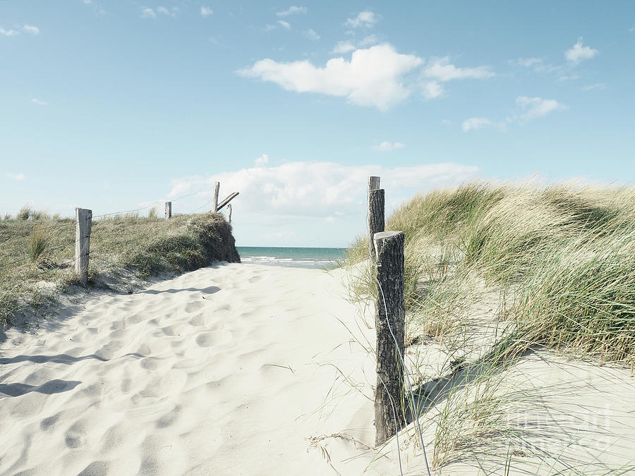 Pathway To The Beach Photograph By Andreas Berheide Fine Art America