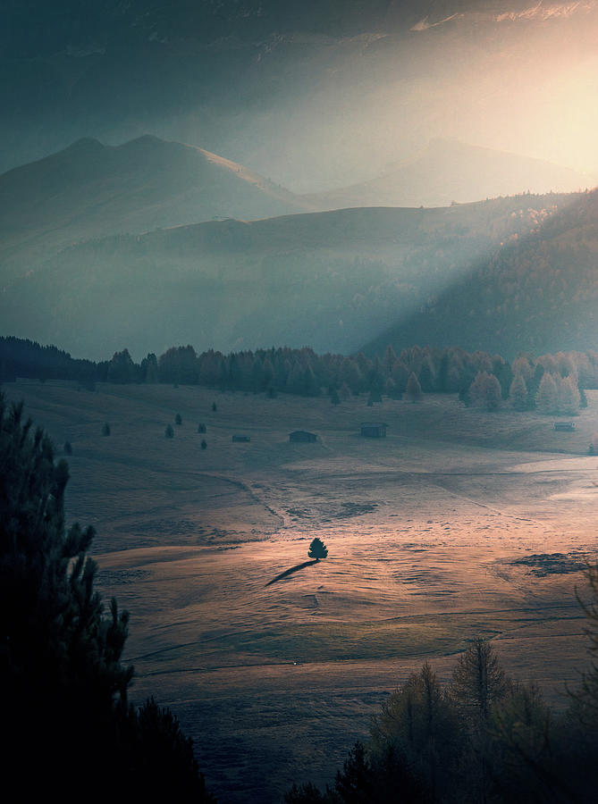 Alone Pyrography By Max Rive Fine Art America