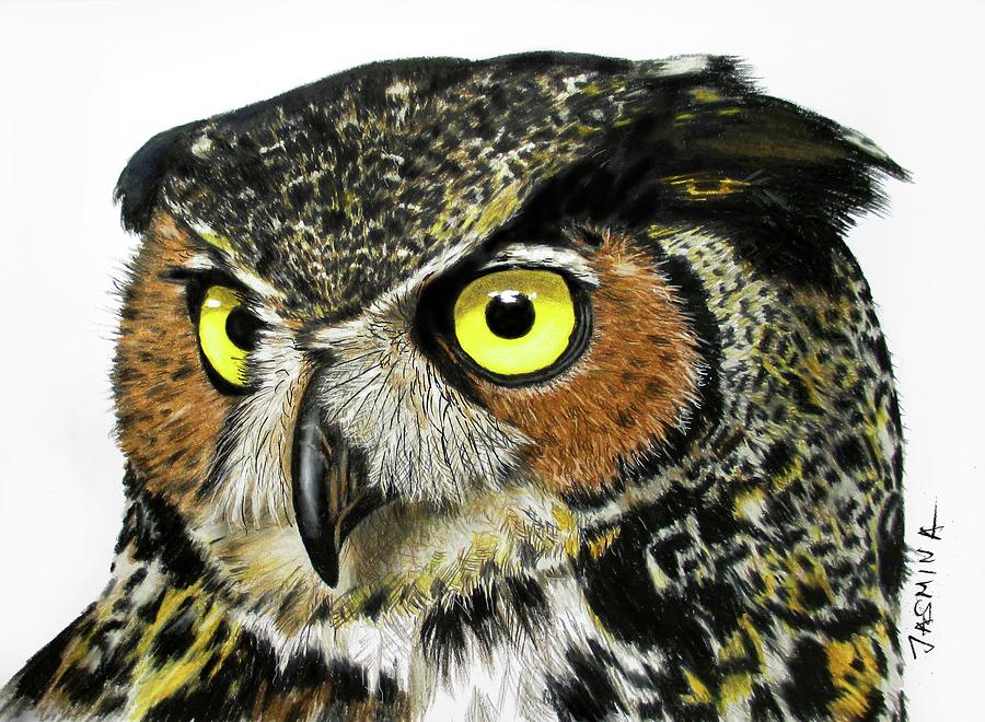 An Owl Colored Pencil Drawing Drawing By Jasmina Susak Fine Art America