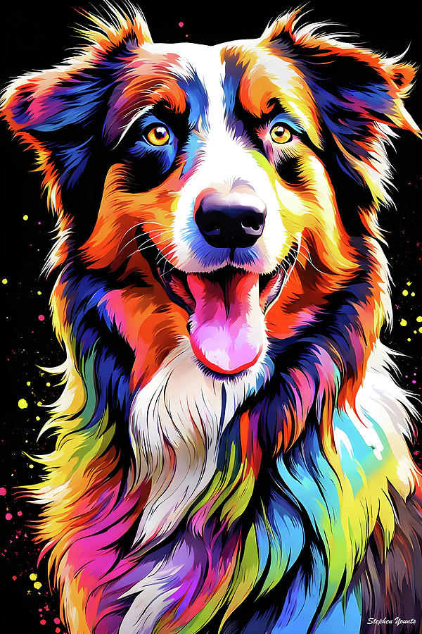 Australian Shepherd Digital Art By Stephen Younts Fine Art America