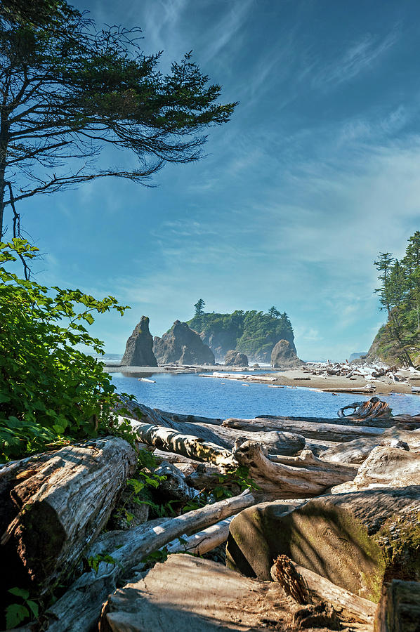 Beautiful Ruby Beach Washington Photograph By Ron Frasier Fine Art