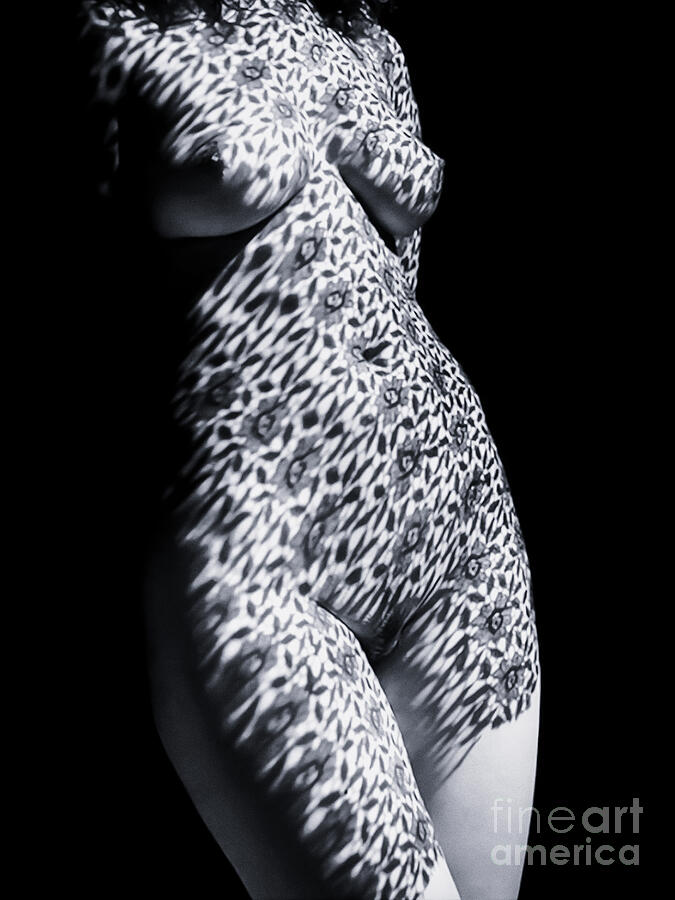 Beauty Of Shadows Nude Photograph By Rafael Del Toro Fine Art America