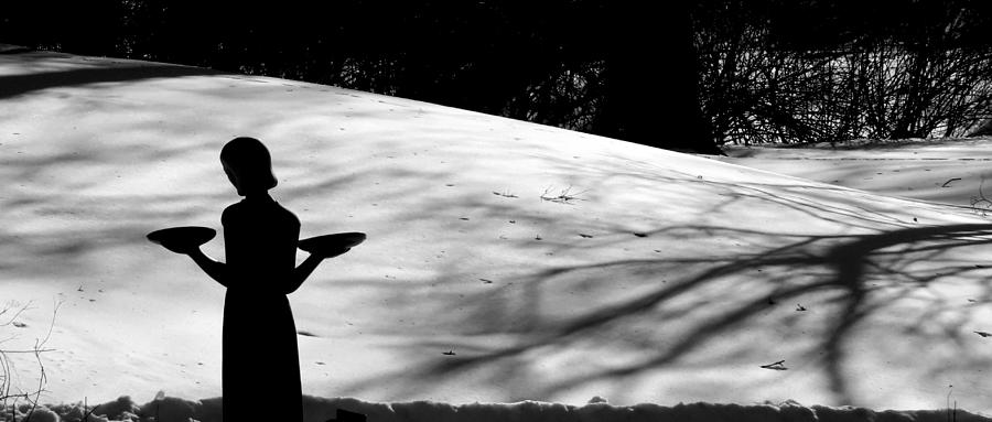 Bird Girl In Winter 2 Photograph By Tom STRUTZ Fine Art America