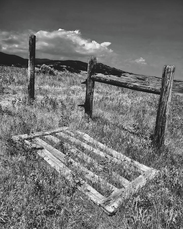 Black And White Fence Photograph By David Paden Fine Art America