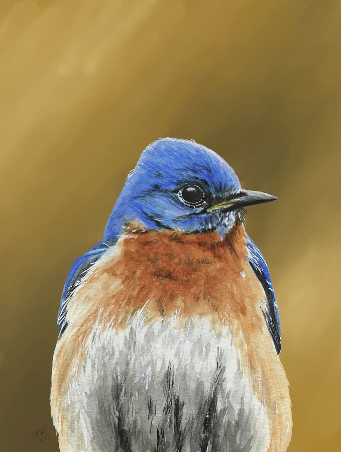 Bluebird Beauty Painting By Taphath Foose Fine Art America