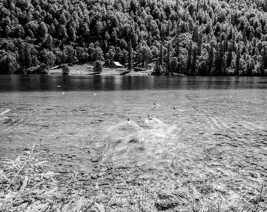 BW Secret Lake Konigssee 11 Of 12 The Award Winning Photo Series