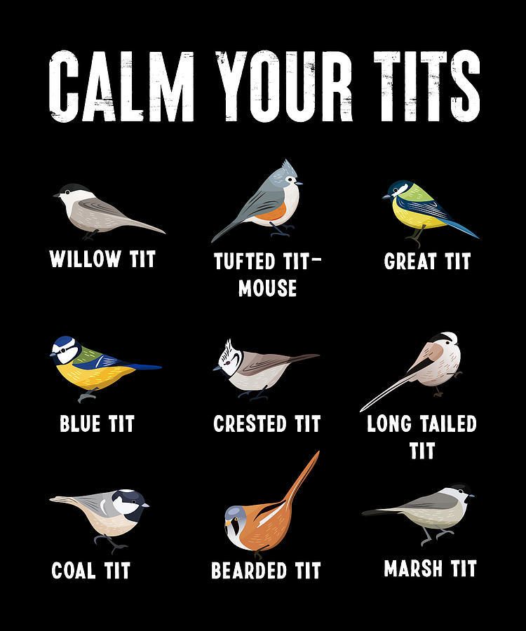 Calm Your Tits Funny Bird Watching Titmouse Gift Digital Art By P A