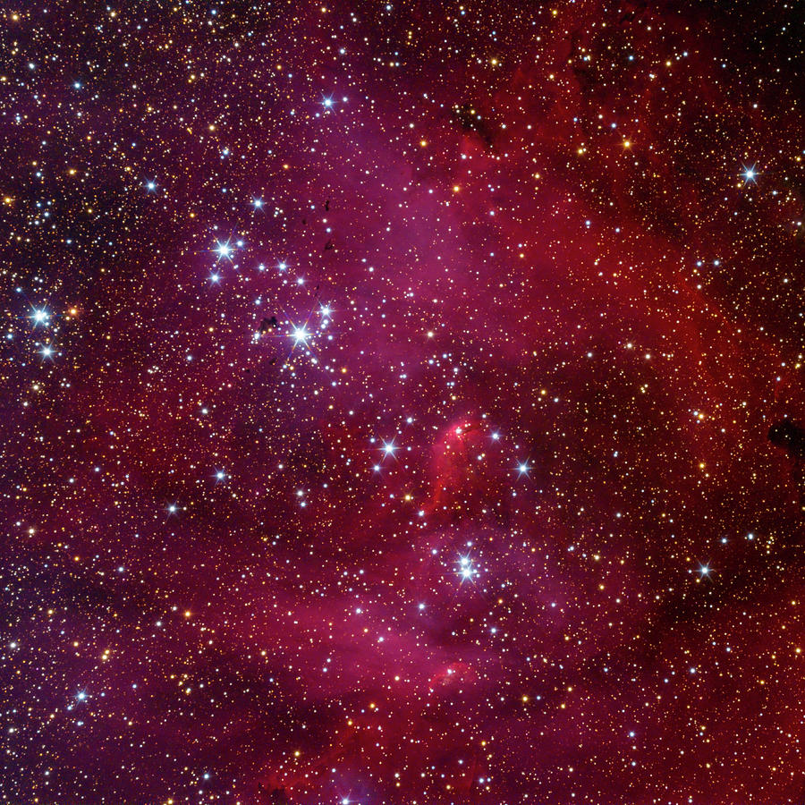 Chicken Nebula Photograph By Colin Robson