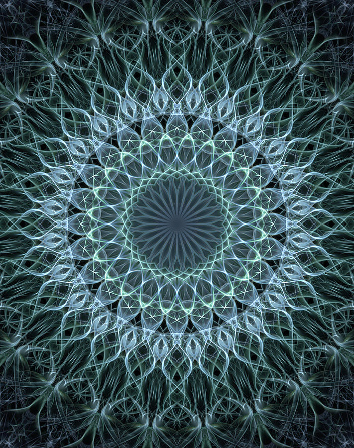 Cold Blue And Gray Mandala Digital Art By Jaroslaw Blaminsky Fine Art