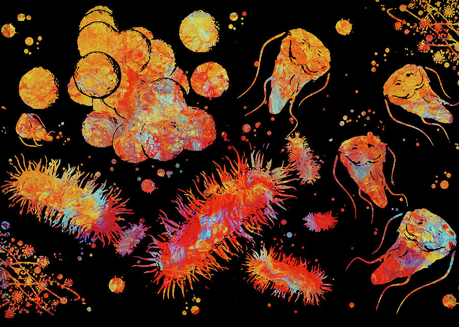 Cytology Art Bacteria Fungi Parasites Watercolor Giardia E Coli Staph