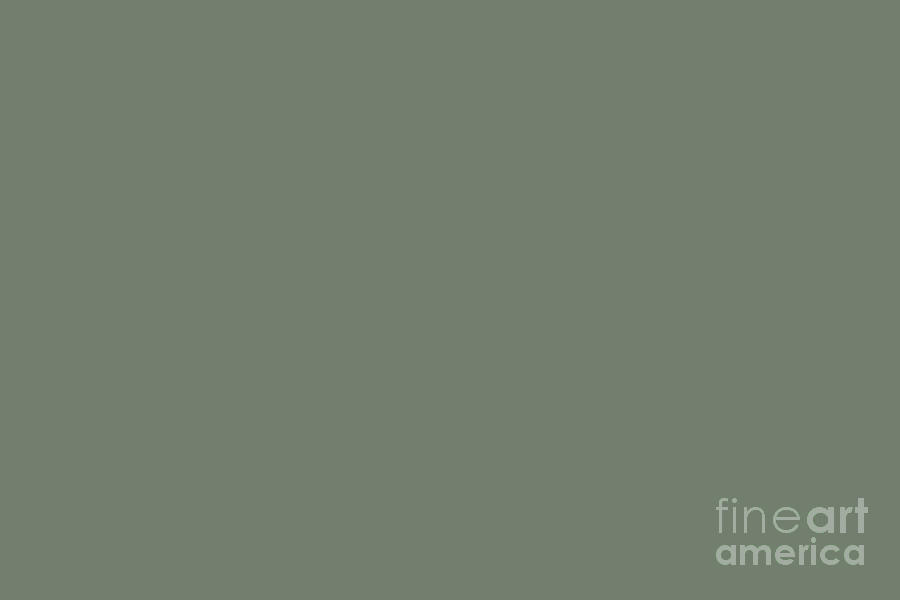 Dark Grayed Green Solid Color Pairs Pantone Sea Spray Tcx