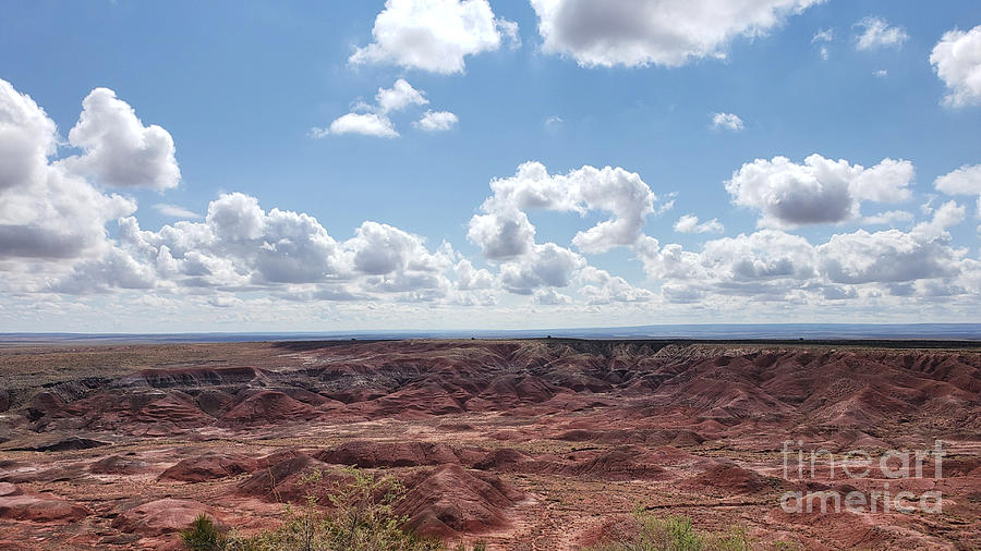 Desert View Photograph By Kandace Mell Fine Art America