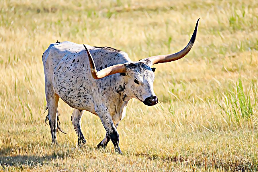 Texas longhorn pornstar