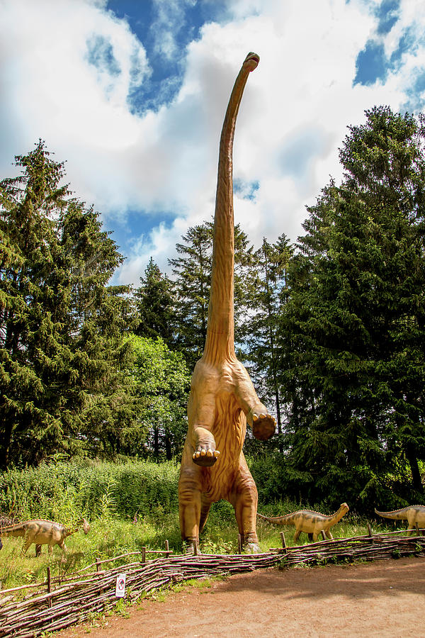 Diplodocus Is The Biggest Dinosaur Of Which Complete Skeletons Have