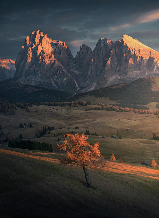 Dolomites Pyrography By Max Rive Fine Art America