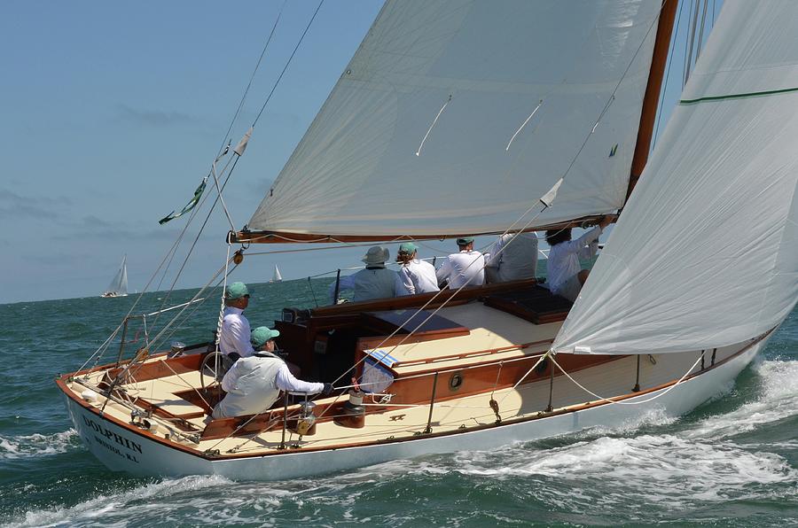 Dolphin At Opera House Cup Regatta Photograph By Roland Cody Pixels