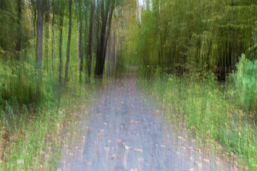 Forest Path Blur ICM Photograph By Patti Deters Fine Art America