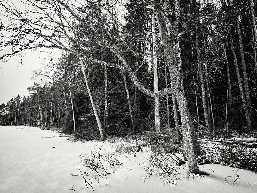 Frozen Waterfront Pitkajarvi Seitseminen Bw Photograph By Jouko Lehto