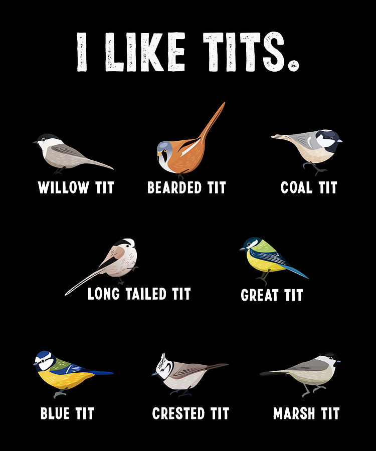 Funny Bird Ornithology Gift I Like Tits Digital Art By P A Fine Art