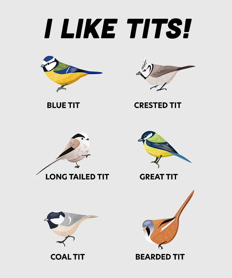 Funny I Like Tits Gift For Bird Watcher Digital Art By P A Fine Art