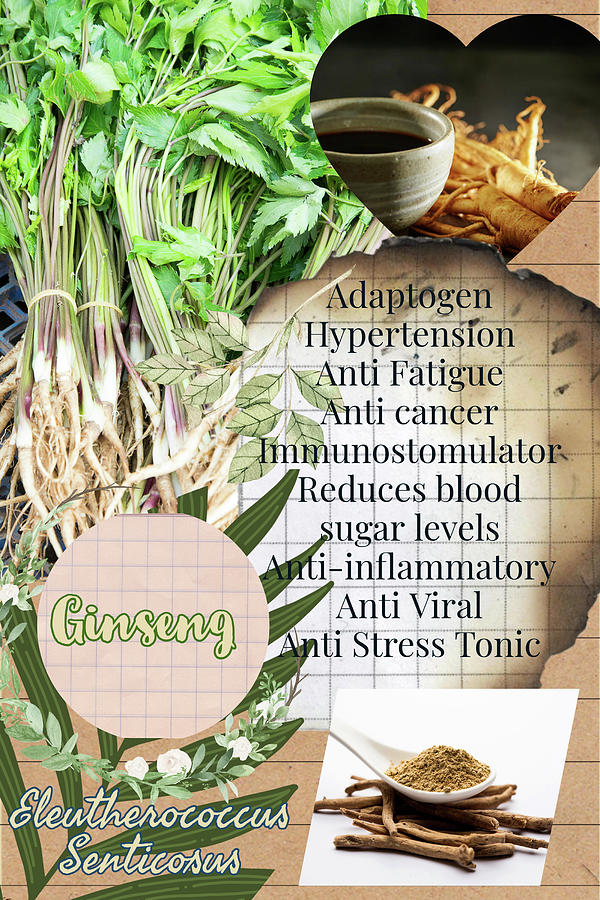 Ginseng Benefits Photograph By Ana Naturist Pixels