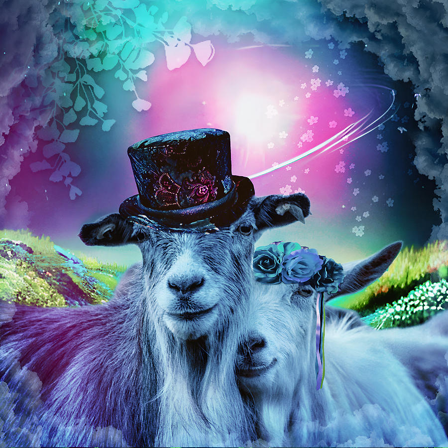 Goat Love Digital Art By Clarazen Art Fine Art America