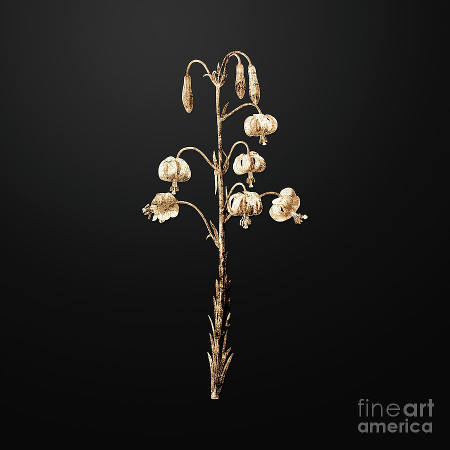 Gold Lilium Pyrenaicum On Wrought Iron Black N 00584 Painting By Holy