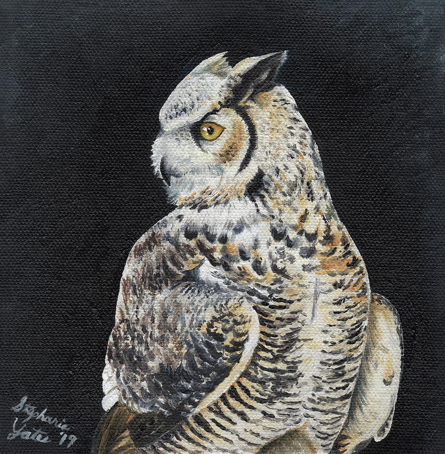 Great Horned Owl Painting By Stephanie Yates Fine Art America