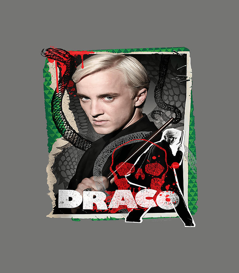 Harry Potter Draco Malfoy Photo Collage Digital Art By Valend Molli