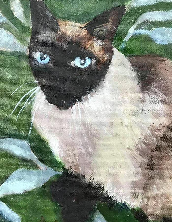 I Am Siamese If You Please Painting By Marie Garafano Fine Art America