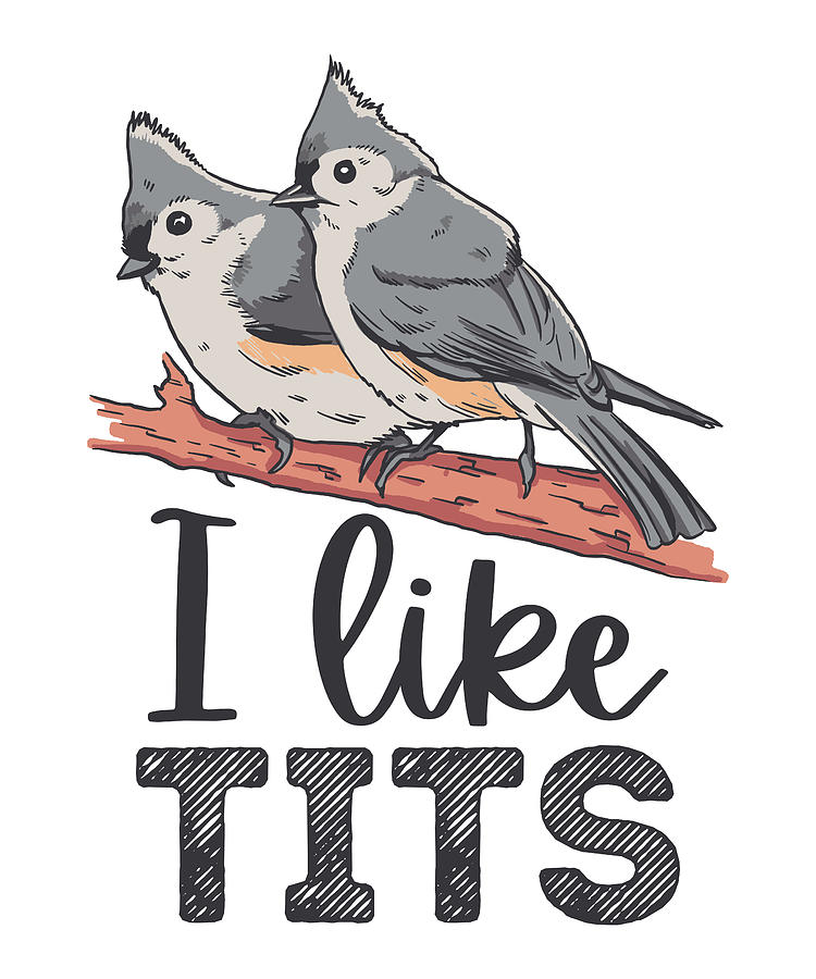 I Like Tits Cute Tufted Titmouse Bird Lover Gift Digital Art By P A