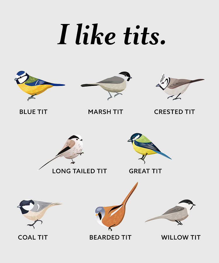 I Like Tits Funny Bird Watching Gift Digital Art By Philip Anders