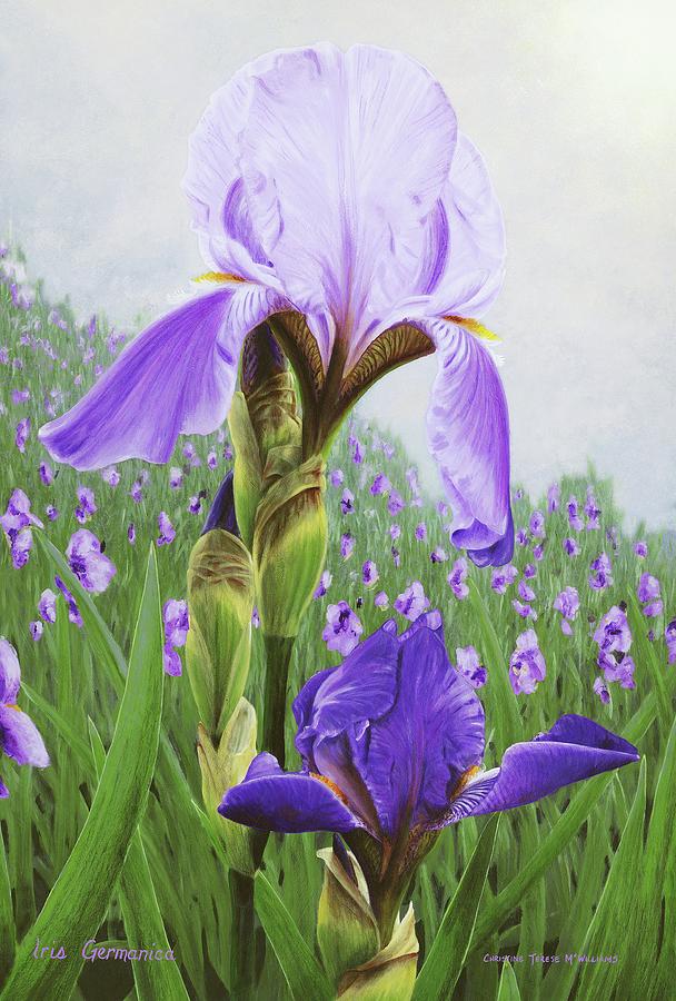 Iris Germanica Painting By Christine McWilliams Fine Art America