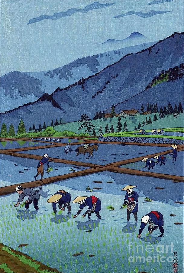 Japanese Kasamatsu Rice Planting Mountain Art Painting By Evans Julie