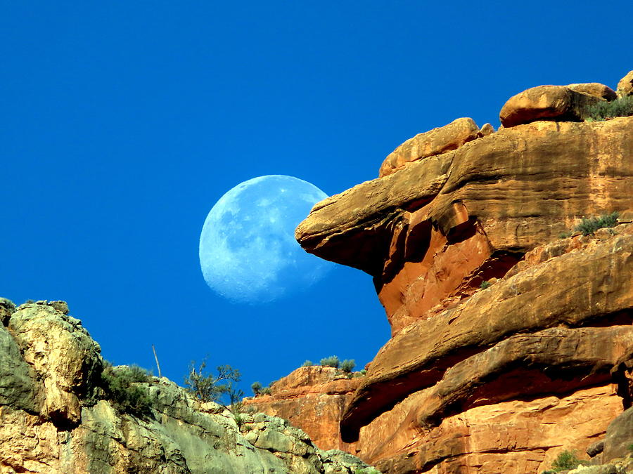 Moonset In The Grand Canyon Photograph By Tom Strutz Fine Art America