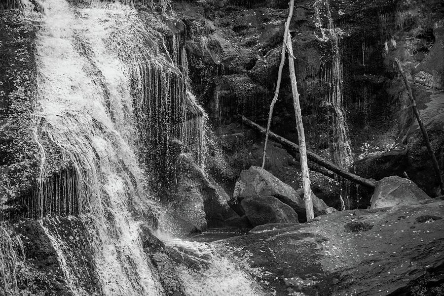 Mossy Rocks Leaves And Waterfall In Black And White Photograph By Greg