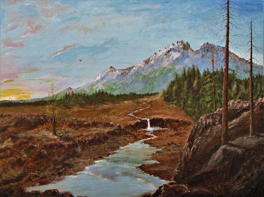 Mount St Helens Painting By Daniel Mcquestion Fine Art America