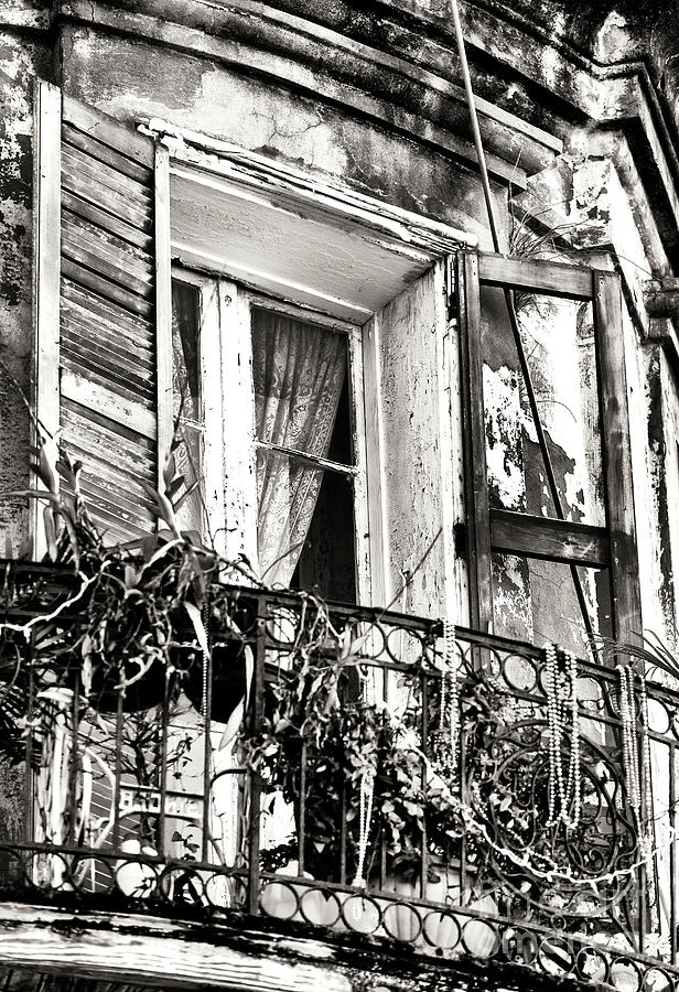 New Orleans Vintage Window View In The French Quarter Photograph By