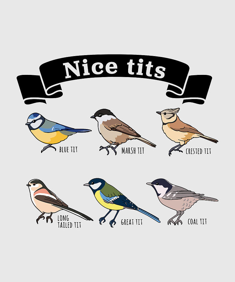 Nice Tits Funny Bird Watching Gift Digital Art By P A Fine Art America