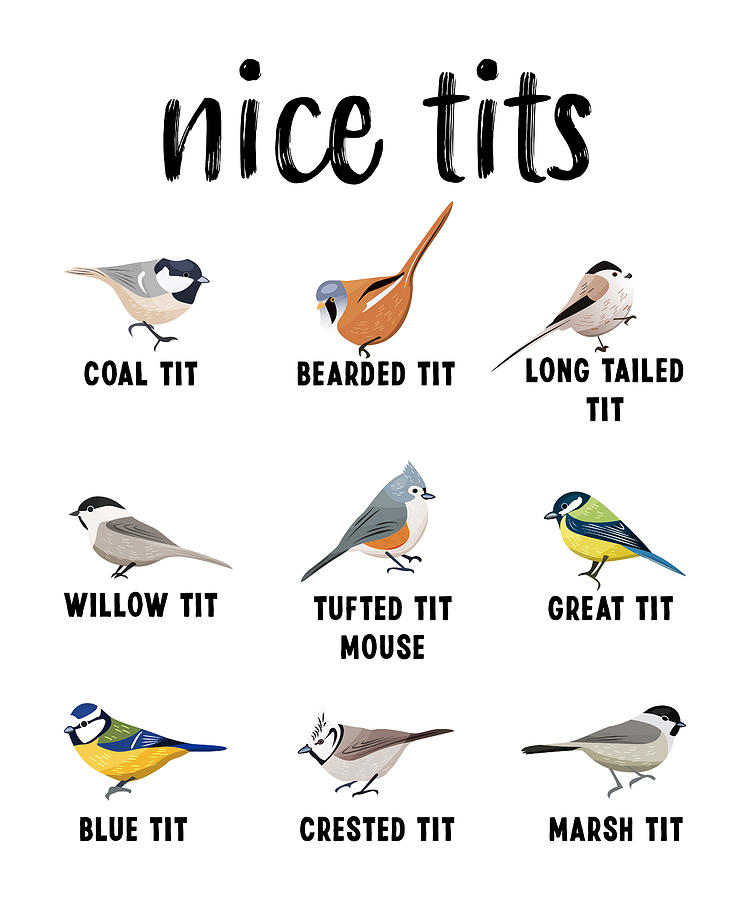 Nice Tits Tufted Titmouse Bird Watching Gift Funny Digital Art By P A