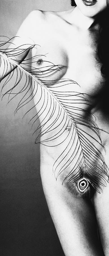 Nude With Peacock Feather Photograph By Falko Follert Fine Art America